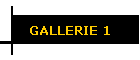 GALLERIE 1