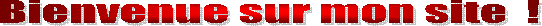 Bienvenue sur mon site Web !